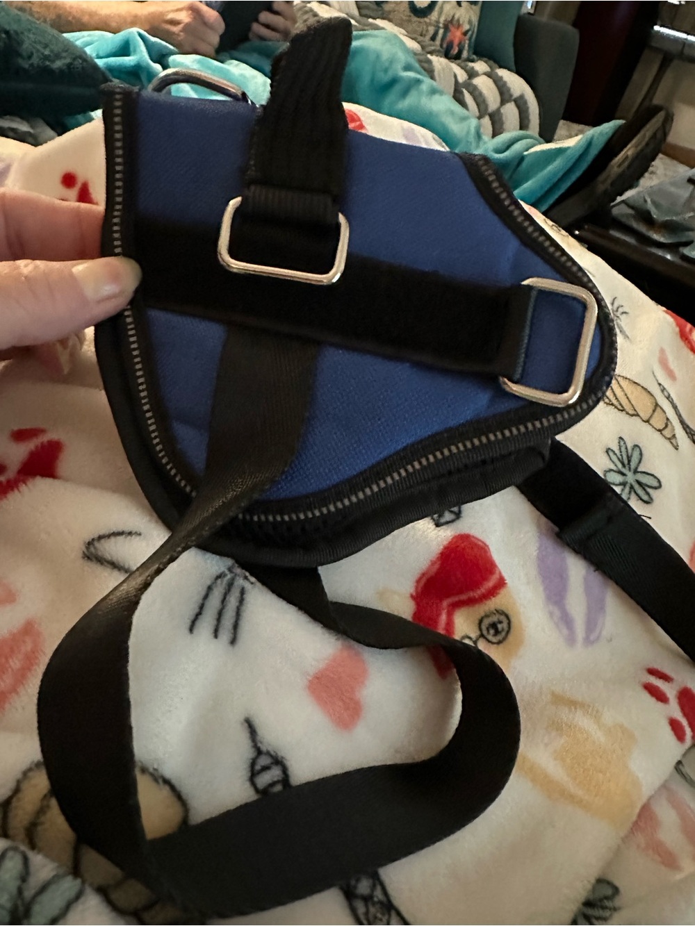 Harness Buddy Blue Dog Harness Small 11-19 lbs